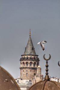 Low angle view of seagull on historic building against clear sky