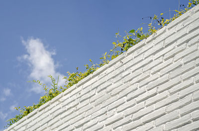 Low angle view of building against blue sky