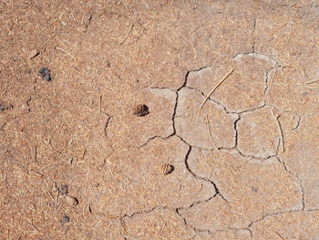 High angle view of sand