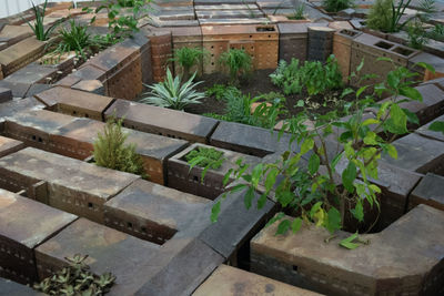 High angle view of potted plants