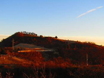 Scenic view of field against clear sky during sunset