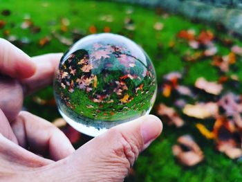 Close-up of hand holding crystal ball