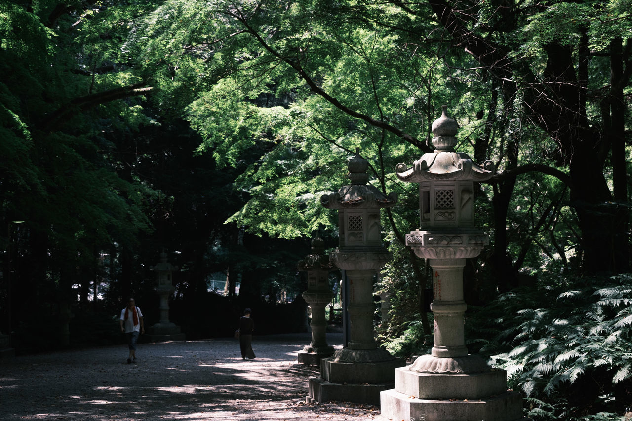 PEOPLE WALKING IN PARK