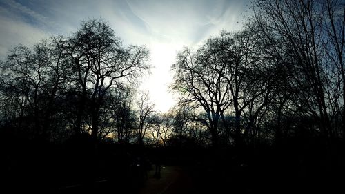 Silhouette trees in forest against sky