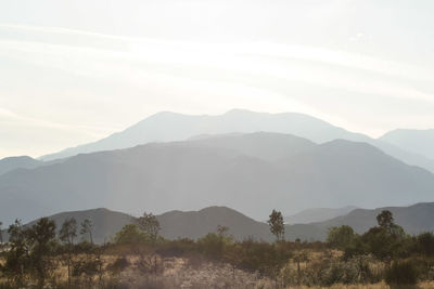 Scenic view of mountain range