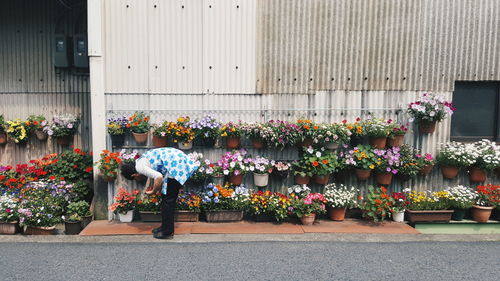 Flowers against plants outside building