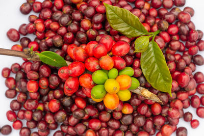 High angle view of grapes