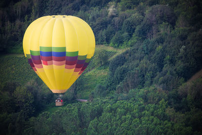 Hot air balloon over a forest
