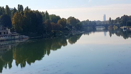 Reflection of trees on calm river