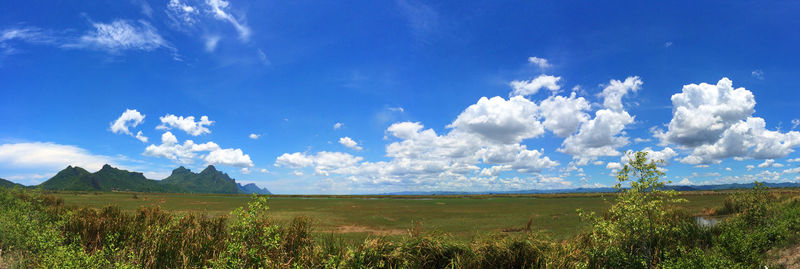 Panoramic view of field against sky