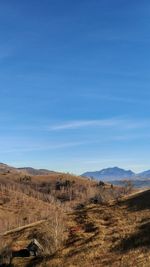 Scenic view of field against blue sky