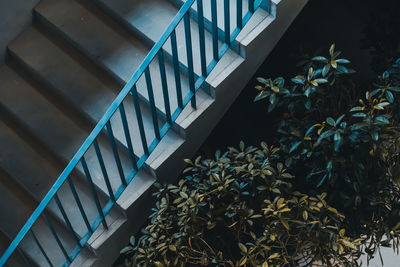 High angle view of flowering plants by building