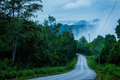 Road amidst trees in forest against sky