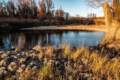 Scenic view of lake in forest against sky