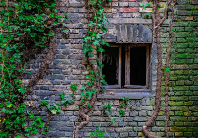 Window on wall of old building