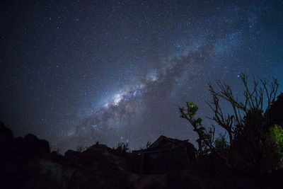 Low angle view of silhouette trees against sky at night