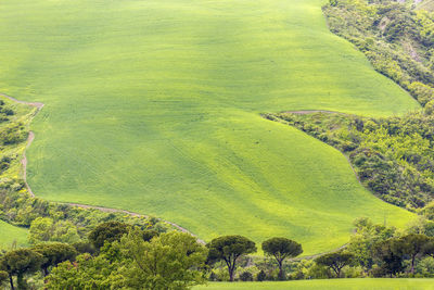 green