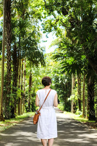 Rear view of woman walking on road amidst trees