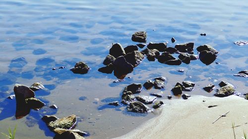 High angle view of pebbles on beach