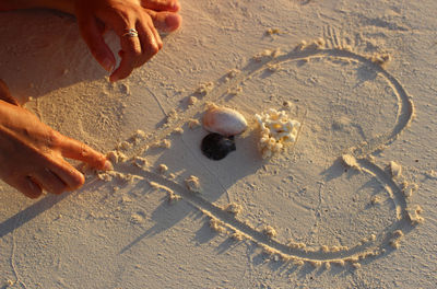 High angle view of person playing with sand on beach