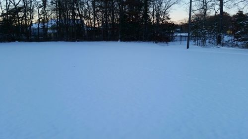 Bare trees on snow covered landscape