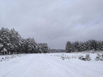 Trees on snow covered field against sky