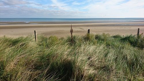 Scenic view of beach against sky