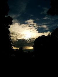 Silhouette of trees at sunset