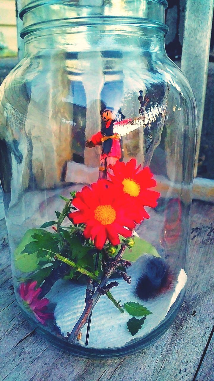 CLOSE-UP OF RED FLOWERING PLANT IN WATER