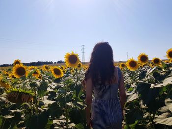Rear view of woman standing at sunflower farm against clear blue sky