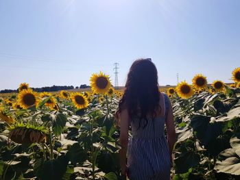 Rear view of woman standing on sunflower field against sky