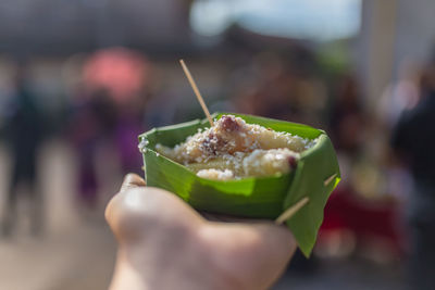 Close-up of hand holding leaf