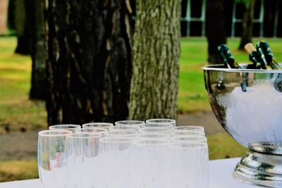 Close-up of drink on table in yard