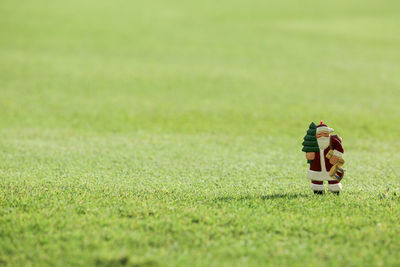 Close-up of santa claus figurine on grassy field