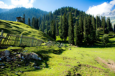 Panoramic shot of trees on field against sky