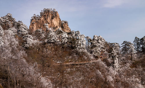 Low angle view of rock formation on land against sky