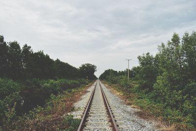 Railroad track amidst trees against sky