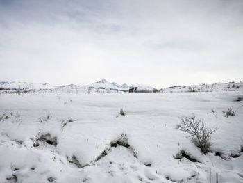 Snow covered landscape against sky