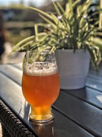 Close-up of beer glass on table