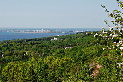 Scenic view of sea with trees in background