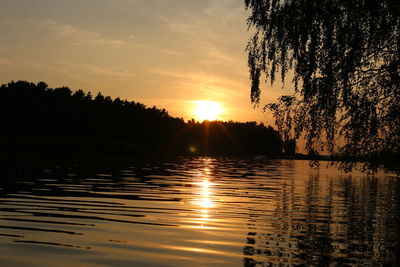 Silhouette trees against sky during sunset