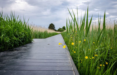 Dirt road amidst field against sky