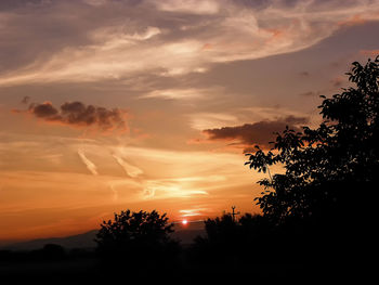 Low angle view of silhouette trees against sky during sunset