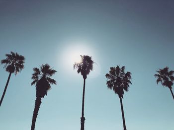 Low angle view of palm trees against clear blue sky