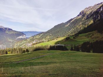 Interlaken nature