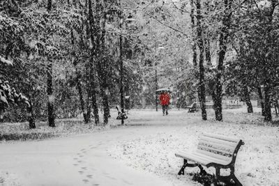 Rear view of person in park during winter