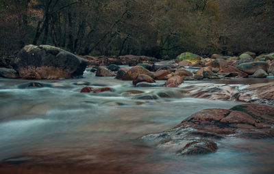 View of a waterfall along trees