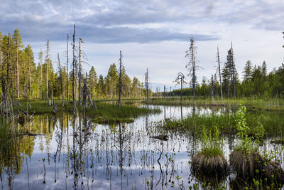 Scenic view of lake against sky