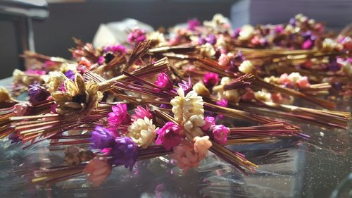 Close-up of flowers