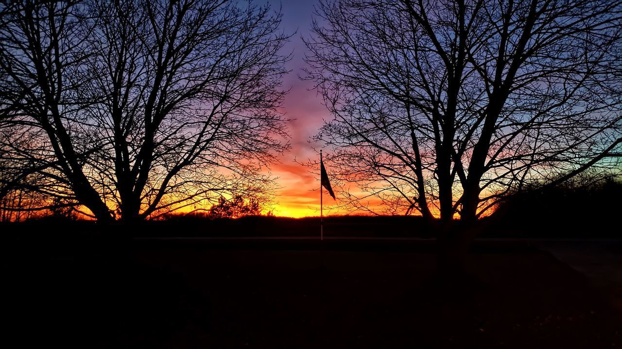 SILHOUETTE BARE TREE AGAINST ORANGE SKY